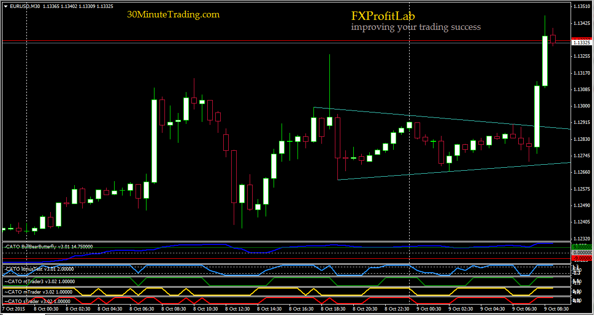 Forex cash pulse